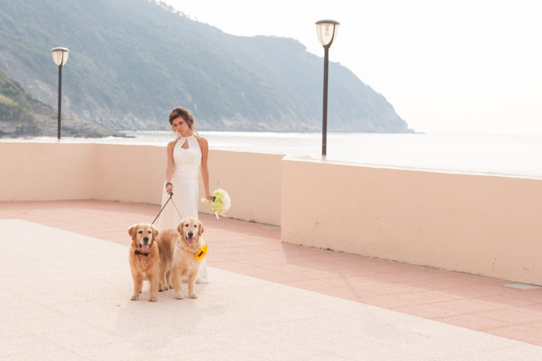 cani al matrimonio- Dog Special Guest