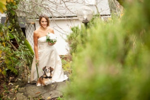 cani al matrimonio- Dog Special Guest