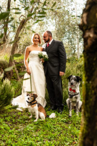 wedding dog sitter - Dog Special Guest