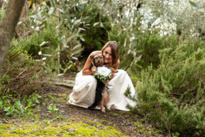 wedding dog sitter - Dog Special Guest