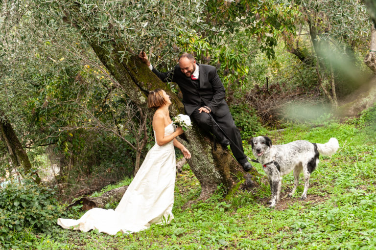 wedding dog sitter - Dog Special Guest