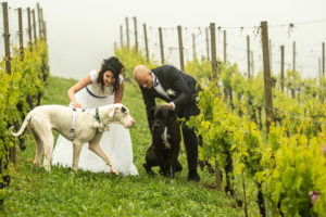 Dog Special Guest _ weddingdogsitterliguria