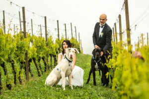 Dog Special Guest _ weddingdogsitterliguria